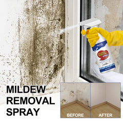 Mildew Removal Spray, Clean Mildew Stains On Bathroom Tile Walls And Ceiling Multi-Functional Mildew Stain Spray