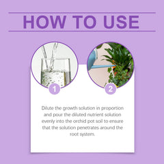 Orchid Plant Growth Agent Flower Green Plant Special Nutrient Solution For Orchid Pot Common