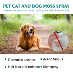 Pet Skin Medicine Spray, Cats And Dogs To Remove Mite Skin Itching To Remove Red Hair To Itch