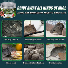 120g home plant natural peppermint oil rats and mice mouse repellent to avoid rodent