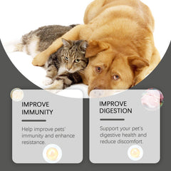Cats And Dogs General Compound Probiotic Tablets, Pets Absorb Nutrition Supplement Tablets Dog And Cat Nutrition