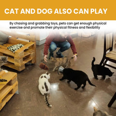 Interactive Smart Mouse Toy, Cats And Dogs Like A Mouse Sound Relief Plush Toy