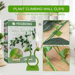 Plant Climbing Wall Holder, Household Vine Plant Wall Climbing Self-adhesive Retainer