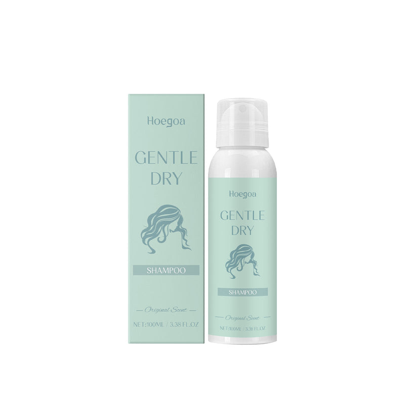 Leave-In Dry Hair Spray Dry Cleaning Spray Oil Control Volumizing Glossy Hair Easily Manage Hair