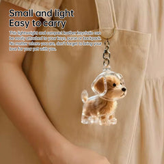 A transparent DIY pet hair memorial keychain box, a sweet keepsake for dog lovers.
