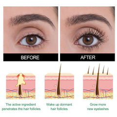 Castor Oil Lash Growth Serum, Mild Lasting Not Easy To Halo Makeup Natural Slim Black Beautiful Voluminous Voluminous Mascara