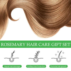 Rosemary Hair Care Nourish Hair Soft Fluffy Strong Moisturizing Root Hair Care Gift Set