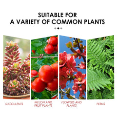 Plant Growth Nutrition Sustained-Release Tablet, Fruit And Vegetable Plant Pot Root Growth Universal Nutrition Tablet