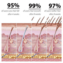 Amino Acid Shampoo, Deeply Clean The Scalp Repair Hair Follicle Damage Strengthen Hair Off The Hair