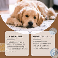 Milk Calcium Tablets For Dogs Vitamin Supplements For Pets Oral Care Diet Healthy Nutrition Calcium Tablets