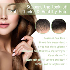 Herbal Hair Care Oil Gently Nourishes Scalp, Strengthens Hair, Cleanses Scalp, Softens Hair Care Oil