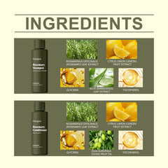 Rosemary Shampoo Set Anti-Dandruff Oil Control Shampoo Retain Fragrance Moisturizing Conditioner Refreshing Hair
