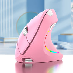 wireless 2.4G vertical mouse for prevention