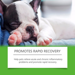 Dietary Supplements For Dogs, To Promote Pet Health Pet Dogs Special Dietary Supplements
