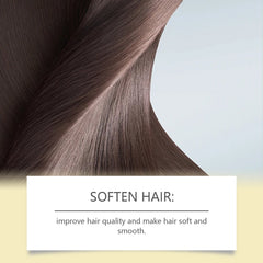 Nourishing Hair Care Tea Oil Spray Herbal Extraction Camellia Seed Oil Repair Dry And Smooth Hair Treatment