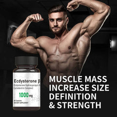 Ecdysterone Capsules Hydroxypropyl Cyclodextrin Complex Ecdysterone Powder Capsules 98% Ecdysterone