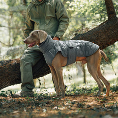 Thick and warm dog clothing outdoor cotton coat vest for winter warmth