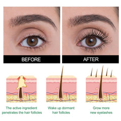 Mild Care Strengthening Eyelash Serum, Volute Thick Black Beautiful Slender Natural Gentle Not Easy To Stain Mascara
