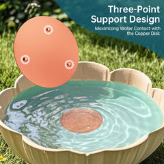 Universal Bird Bath Copper Tray with 3-point Support Purification Plate – for Outdoor Bird Baths & Feeding Bowls