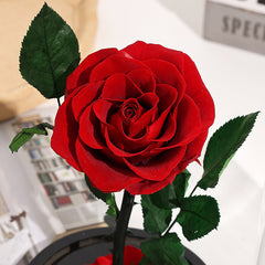 Christmas Valentine's Day Creative Gift Gift for Girlfriend Glass Cover Eternal Flower Gift Box Eternal Rose Gift Ornament