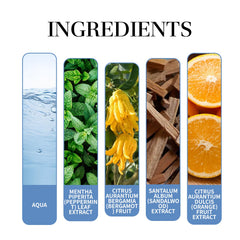 Mint Perfume Fresh And Elegant Natural Charming Aroma Lasting Fragrance Conditioning Mint Perfume