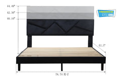 02 Q BLACK