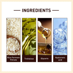 Rice Anti Wrinkle Essence, Repairs Skin Moisturizes Firms Whitens Essence