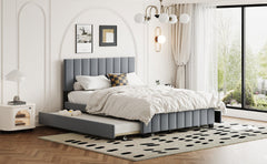 Queen Size Velvet Upholstered Platform Bed with 2 Drawers and 1 Twin XL Trundle- Gray