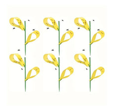 Sticky Houseplant Traps Gnat Yellow Insect Trap Indoor Fruit Fly Stakes Trap