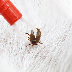Pet Supplies Dog Cleaning Tool Lice Catcher Flea Tick Clip Pet Bug Pen