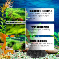 Dealgal Lichen, Aquarium Cleaning Agent Algae Removal Moss Fish Tank Moss Removal Agent Algae Removal From Green Water