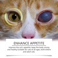 Compound Taurine Tablets For Cats Nutritional Supplement Multi-Dimensional Taurine Tablets For Cats