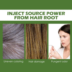 Plant Bubble Hair Natural Black Hair Dark Hair Hair Care Easy Color Lasting Mild Not Irritating