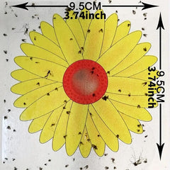 Window Fruit Fly Traps with Strong Stickiness Indoor use Sunflower Window Fly Stickers