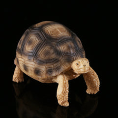 Turtle fish tank shaped handicraft resin ornaments
