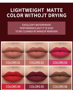 HANDAIYAN Popular Matte Matte Velvet 12 Colors Lip Gloss Liquid Lipstick Lip Glaze