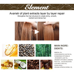 Rosemary Essential Oil For Hair Care, Gentle And Nourishing Hair Care Oil