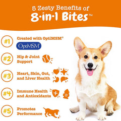 Pet Vitamin Health Product: Multi-Functional Nutritional Supplement for Dogs