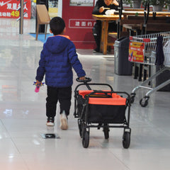 Folding Wagon Garden Shopping Beach Cart