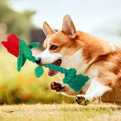 Dog Toy Rose Flower Plush Durable Biting Tooth Cleaning Cotton Rope Knot Crinkle Sound Self-Entertainment Interactive Pet Product