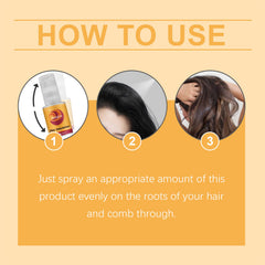 Leave-In Dry Hair Spray