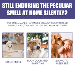 Pet Deodorant Spray for Cats and Dogs - Eliminates Odors, Urine Smell, Body Odor, and Feces Odor, Air Freshener Mist