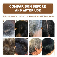 Black Hair Spray, Nourishes Black Hair And Covers White Hair Soft Natural Glossy Hair Spray