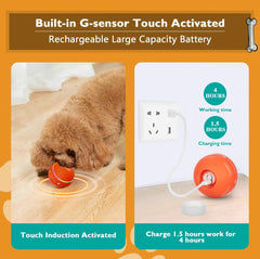 SmartRoll Pet Ball