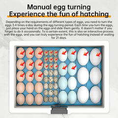 24 - hr Thermostatic Small Poultry Incubator. Biomimetic Waterbed. Auto & Smart. For Chick, Duck & Goose Eggs
