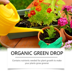 Plant growth Solution potted green leaf lawn flower plant hair root supplement fertilizer nutrient solution