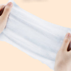 Pet Care Wet Wipes 100 Sheets Dog No-Rinse Cleaning Tissues Cat Eye Care Tear Stain Removal Wipes Wholesale