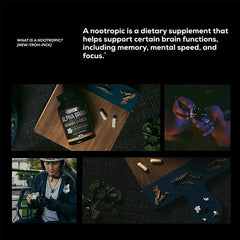 Intelligence Capsule Brain Capsule