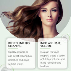 Shampooing Leave-In Hair Conditioner, Refreshing Dry Cleaning Shampooing For Lazy And Degreasing Long-Lasting Styling Shampoo
