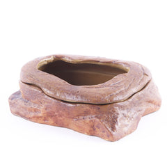 Water grass landscaping pet turtle food basin fish tank ornaments